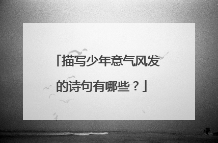 描写少年意气风发的诗句有哪些?