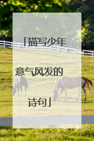 描写少年意气风发的诗句