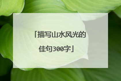 描写山水风光的佳句300字