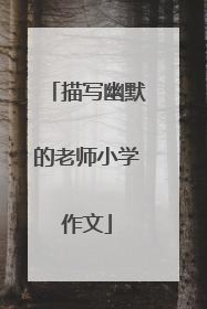 描写幽默的老师小学作文