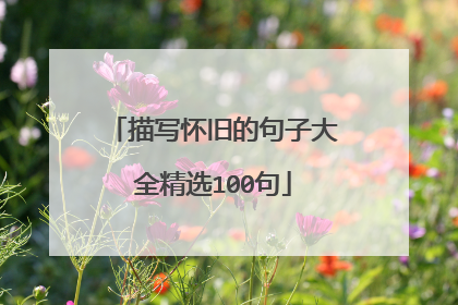 描写怀旧的句子大全精选100句