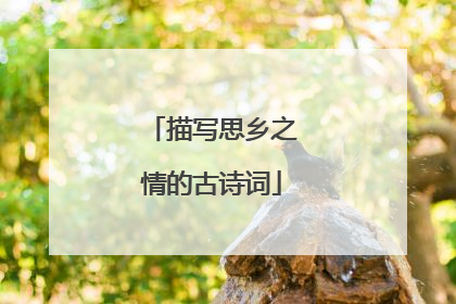 描写思乡之情的古诗词