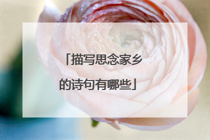 描写思念家乡的诗句有哪些