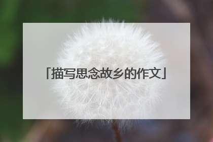 描写思念故乡的作文