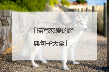 描写恋爱的经典句子大全