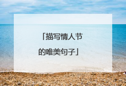 描写情人节的唯美句子