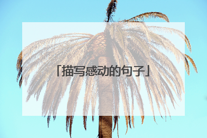 描写感动的句子