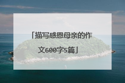 描写感恩母亲的作文600字5篇
