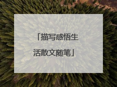 描写感悟生活散文随笔