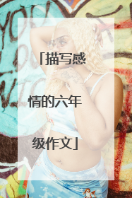 描写感情的六年级作文