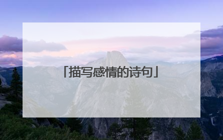 描写感情的诗句