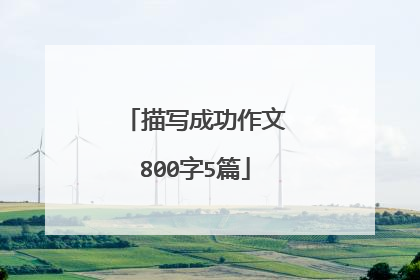 描写成功作文800字5篇