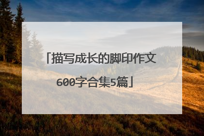 描写成长的脚印作文600字合集5篇