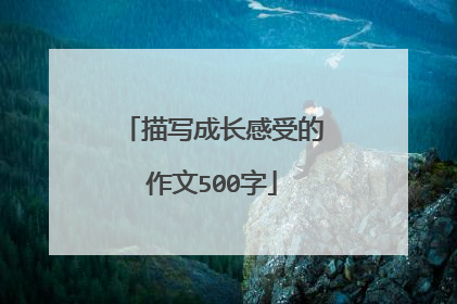 描写成长感受的作文500字