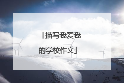 描写我爱我的学校作文