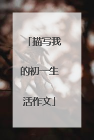 描写我的初一生活作文