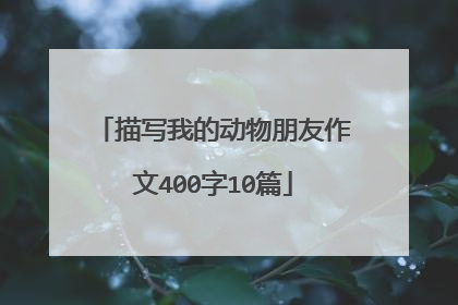 描写我的动物朋友作文400字10篇