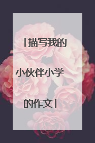 描写我的小伙伴小学的作文