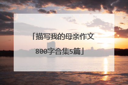 描写我的母亲作文800字合集5篇