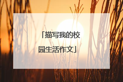 描写我的校园生活作文