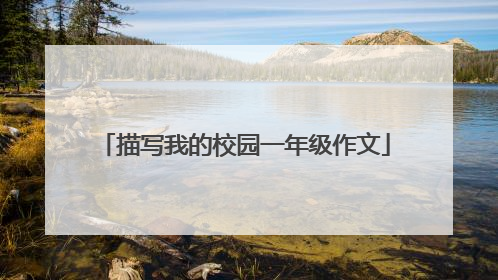 描写我的校园一年级作文