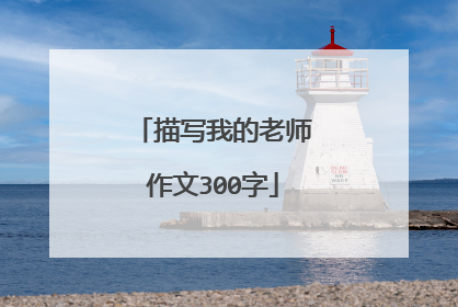描写我的老师作文300字