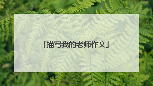 描写我的老师作文