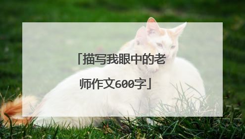 描写我眼中的老师作文600字