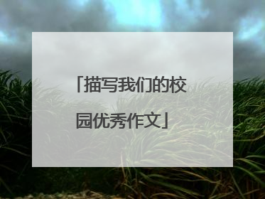 描写我们的校园优秀作文