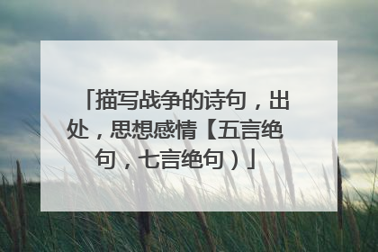 描写战争的诗句,出处,思想感情【五言绝句,七言绝句)