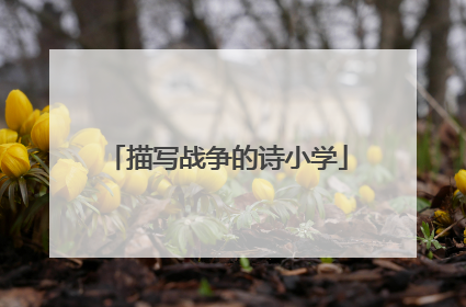 描写战争的诗小学