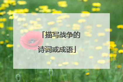 描写战争的诗词或成语