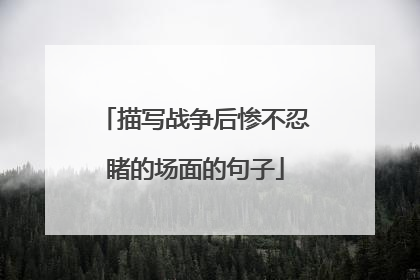 描写战争后惨不忍睹的场面的句子