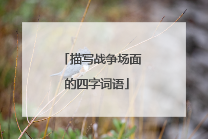 描写战争场面的四字词语