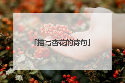 描写杏花的诗句