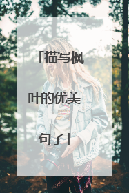 描写枫叶的优美句子