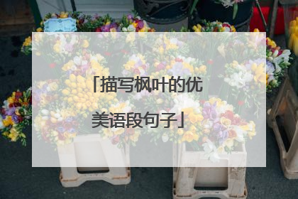 描写枫叶的优美语段句子