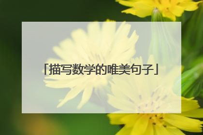 描写数学的唯美句子