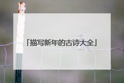 描写新年的古诗大全