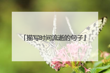 描写时间流逝的句子