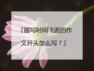 描写时间飞逝的作文开头怎么写?