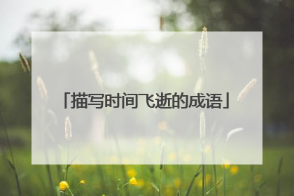 描写时间飞逝的成语