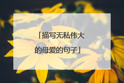 描写无私伟大的母爱的句子