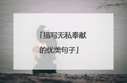 描写无私奉献的优美句子