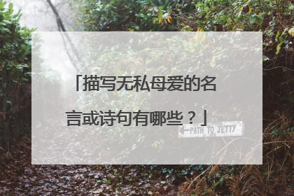 描写无私母爱的名言或诗句有哪些?