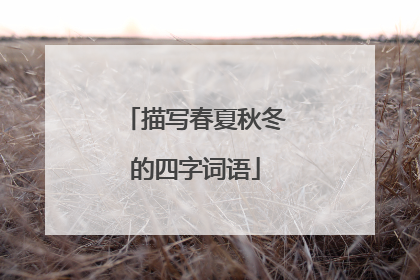 描写春夏秋冬的四字词语