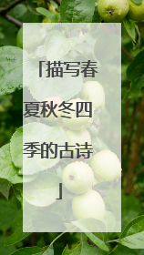 描写春夏秋冬四季的古诗