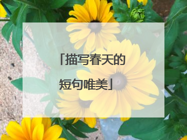 描写春天的短句唯美