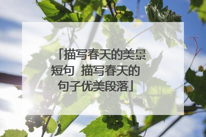 描写春天的美景短句 描写春天的句子优美段落