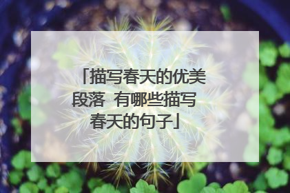 描写春天的优美段落 有哪些描写春天的句子